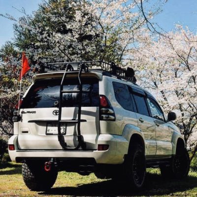 j120 safari j120 safari